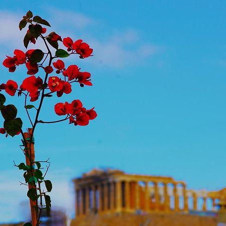 Absolute Athens Acropolis View Lejlighedshotel Eksteriør billede