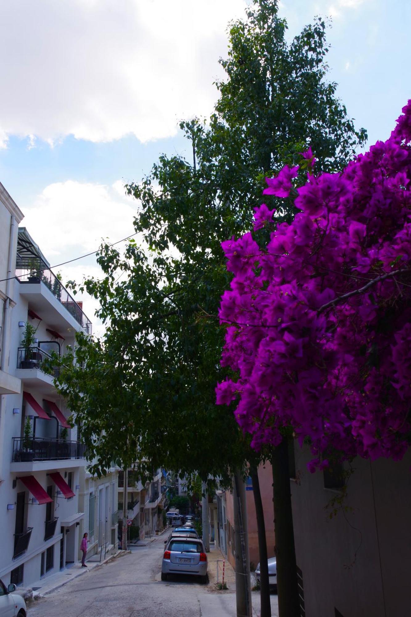 Absolute Athens Acropolis View Lejlighedshotel Eksteriør billede